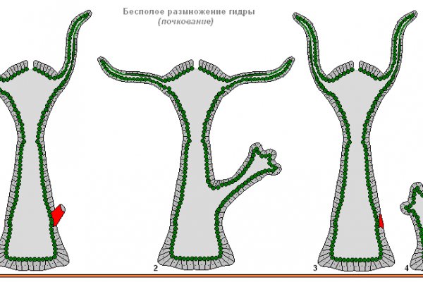 Kraken адрес onion