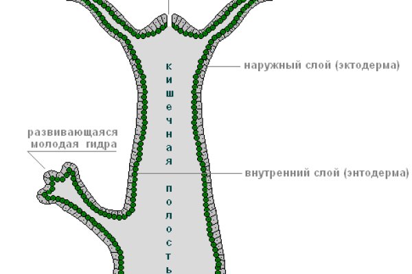 Ссылка на кракен 2krnk biz