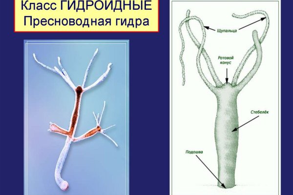 Зайти на кракен без тора